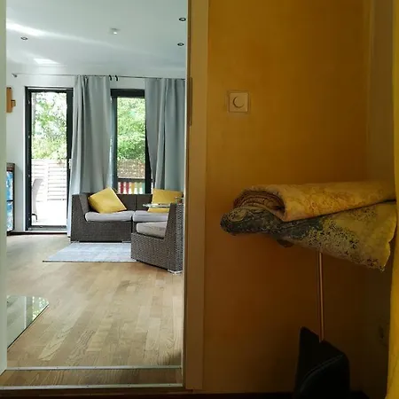 Mit Pool Und Grossem Garten Leipzig